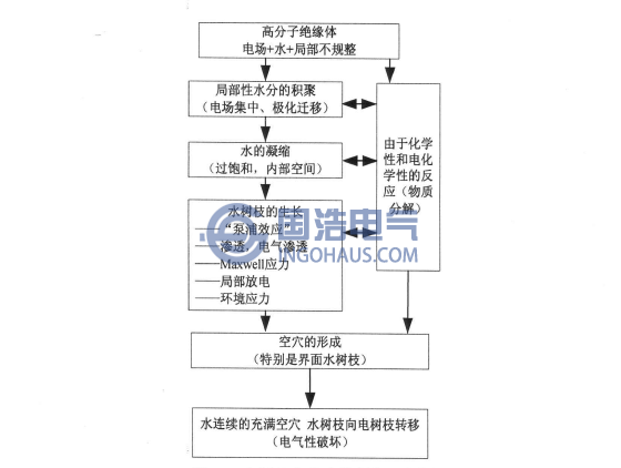 水樹枝產生和發展機理框圖