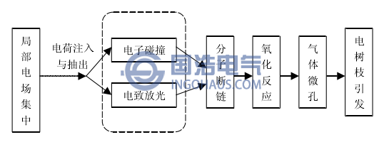 電樹枝引發的基本過程