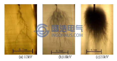 不同形態的電樹枝